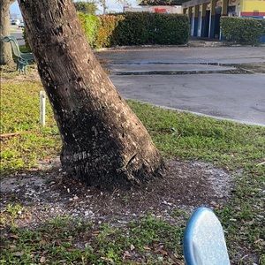 Meet your Posher, Bernadette